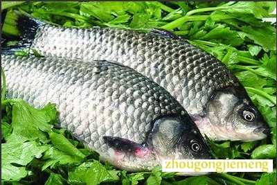 梦见鲫鱼 捉鲫鱼