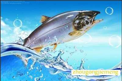 �μ�����