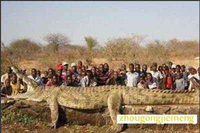 �μ�������