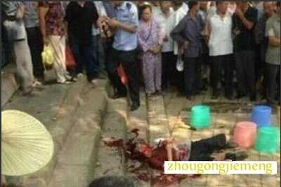 �μ�ɱ�����ѵ�����