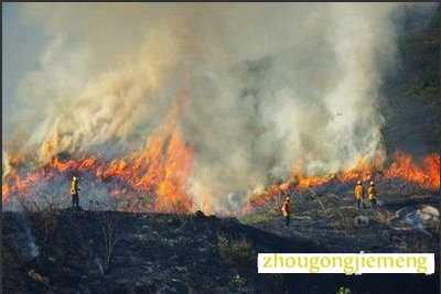 梦见大火烧山