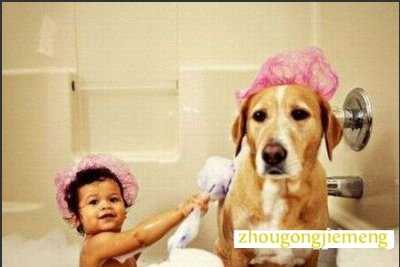 梦见别人给狗洗澡