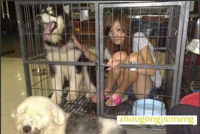 �μ���������