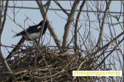 �μ�����