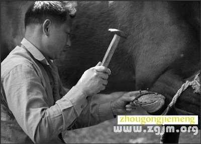 梦见马蹄铁 马掌