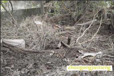 �μ��ѷʷ���