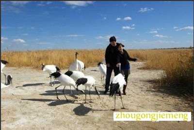 �μ��Լ������ｻ��