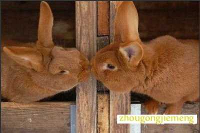 梦见和自己做爱