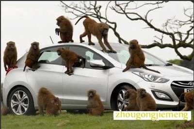 梦见汽车被人破坏