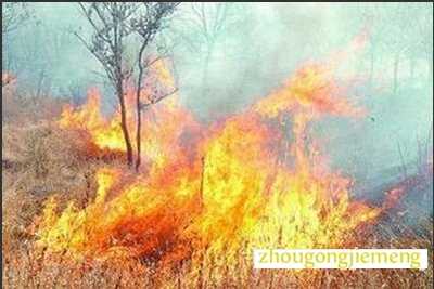 梦见山林起火 山中起火