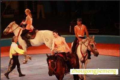 梦见马戏团表演