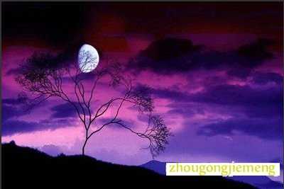 梦见月亮挂在树梢
