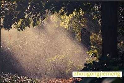 梦见太阳在雨中照耀