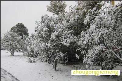 梦见下雪 下大雪