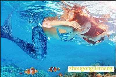 梦见美人鱼