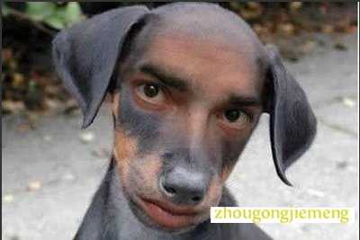 梦见男人变成狗