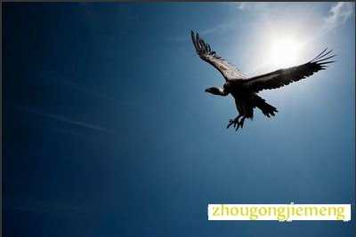 梦见乘风在天空飞翔