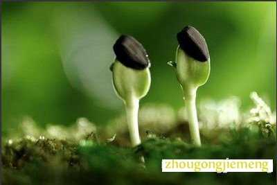 梦见新事物 新东西