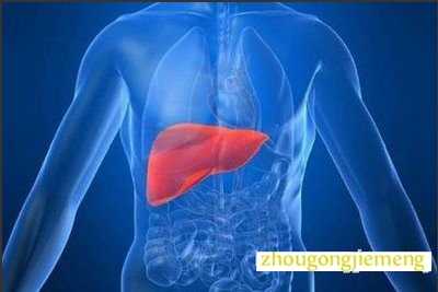 梦见肝脏 梦见肝脏