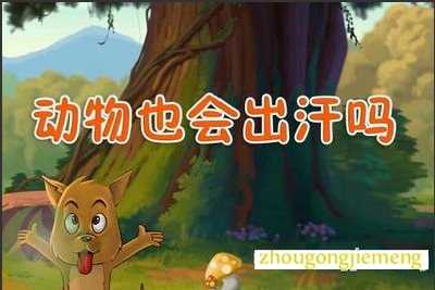 梦见出汗 流汗 梦见出汗 流汗