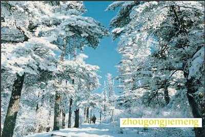 �μ�ѩ������