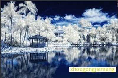 �μ�ѩ�д���